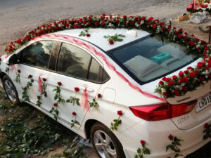 monu horizontal car 5